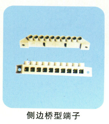 樂(lè)清廠家直銷側(cè)邊橋型端子 連接器領(lǐng)域的高性價(jià)比解決方案